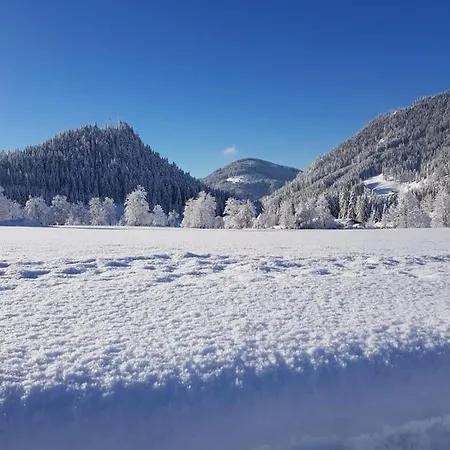 Landhaus Theresia Sankt Martin am Tennengebirge Exterior foto