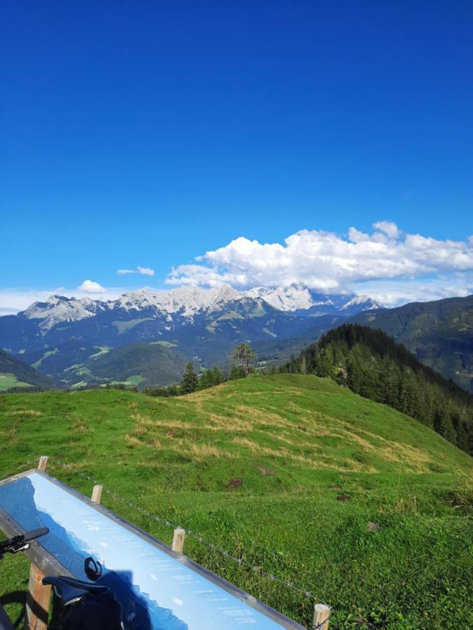 Theresia Apartment Sankt Martin am Tennengebirge