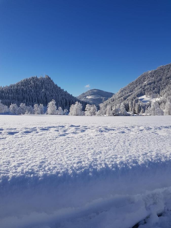 Theresia Apartment Sankt Martin am Tennengebirge