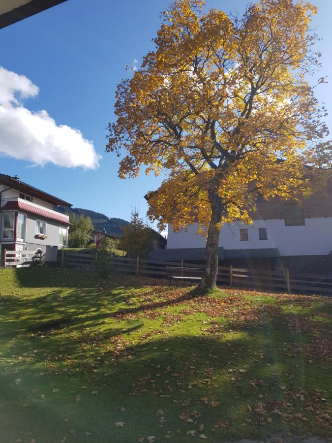 Theresia Apartment Sankt Martin am Tennengebirge